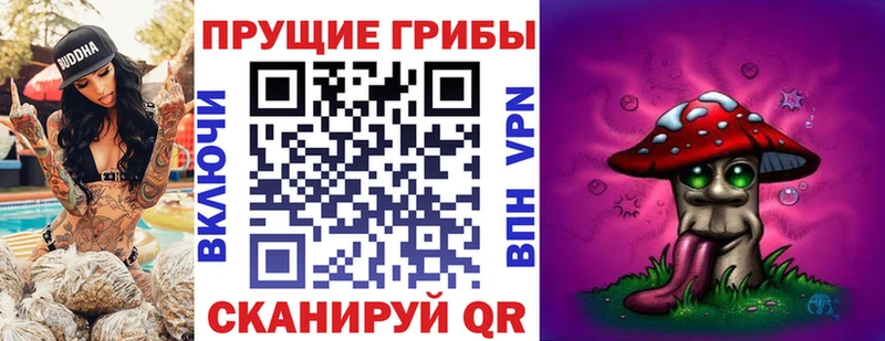 Псилоцибиновые грибы Cubensis  Дальнереченск 